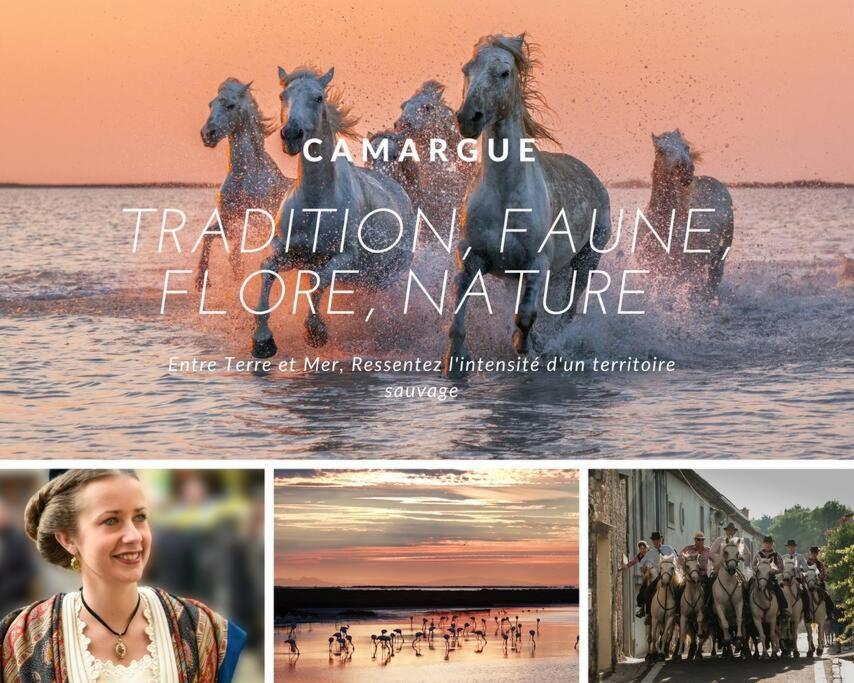 Le Jamaique * Clim * Terrasse * Plage A 10 Min La Grande-Motte Kültér fotó
